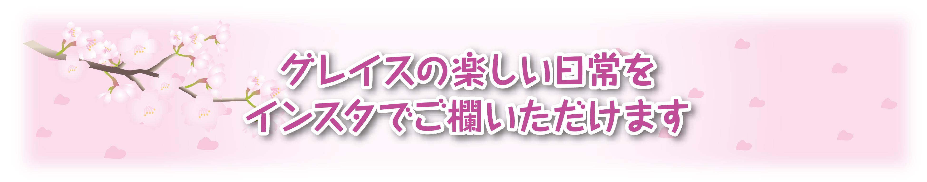 インスタ紹介タイトル